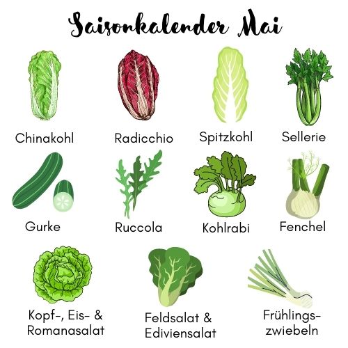 Saisonkalender im Mai für Salat und Kräuter.