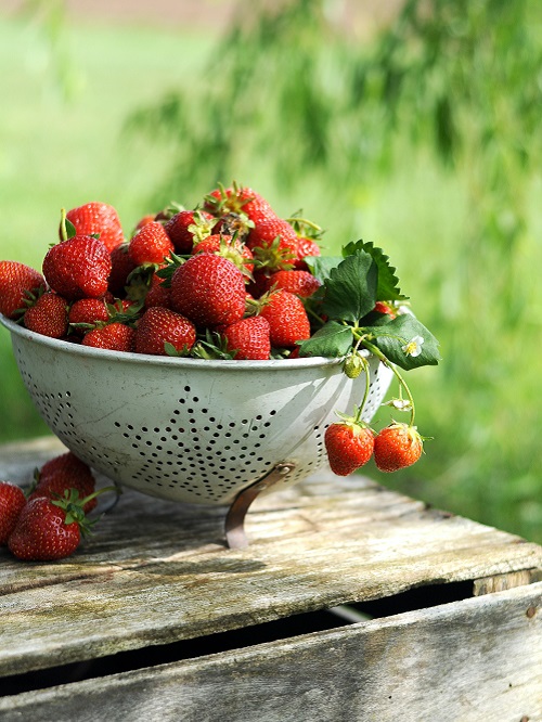 Erdbeeren im Sieb.