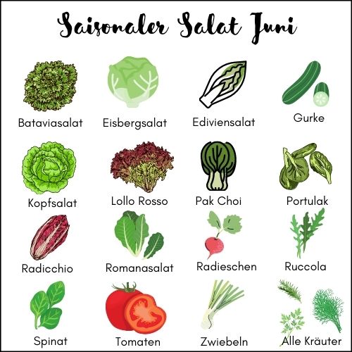 Saisonale Salate und Kräuter im Juni.